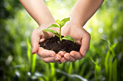 Sustainability and environmental responsibility